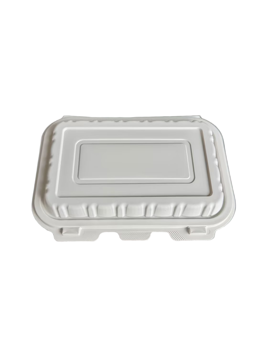 LIYI Disposable Lunch Box, 2-Compartment, 800ml / 27oz, BPA-Free